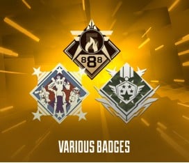 Various Badges